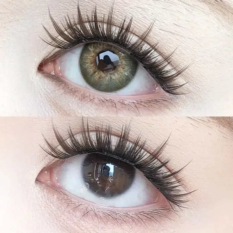 【New】Mislens Lustra Amber