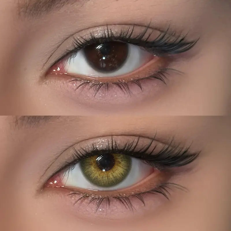 【New】Mislens Lustra Amber