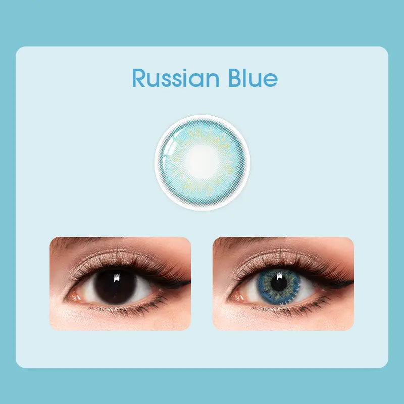 Mislens Russian Blue