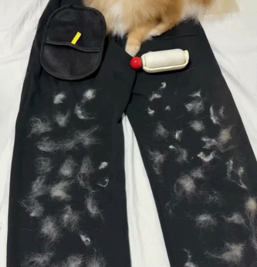 FurSweep™ Glove — Remove ALL Pet Hair in One Swipe|Anheer