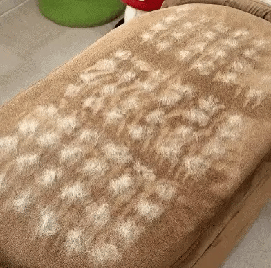 FurSweep™ Glove — Remove ALL Pet Hair in One Swipe|Anheer