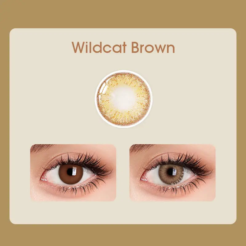 Mislens Wildcat Brown